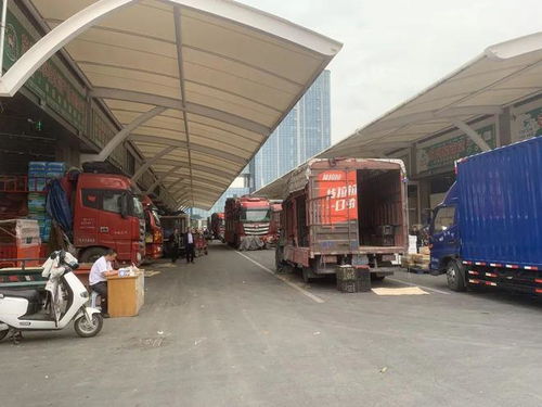 市城管局赴蘇州調研農副產品批發市場運維情況