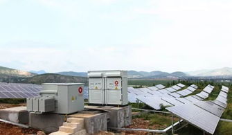 牛 國內(nèi)首家 不用電 水泥廠即將誕生